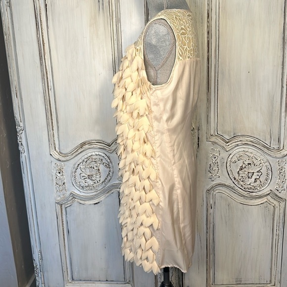 Champagne & Strawberry Sleeveless V Neck 3D Blush and Lace Statement Dress S/8P - Picture 7 of 14